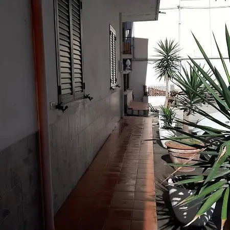 Zaccaro * Тропея